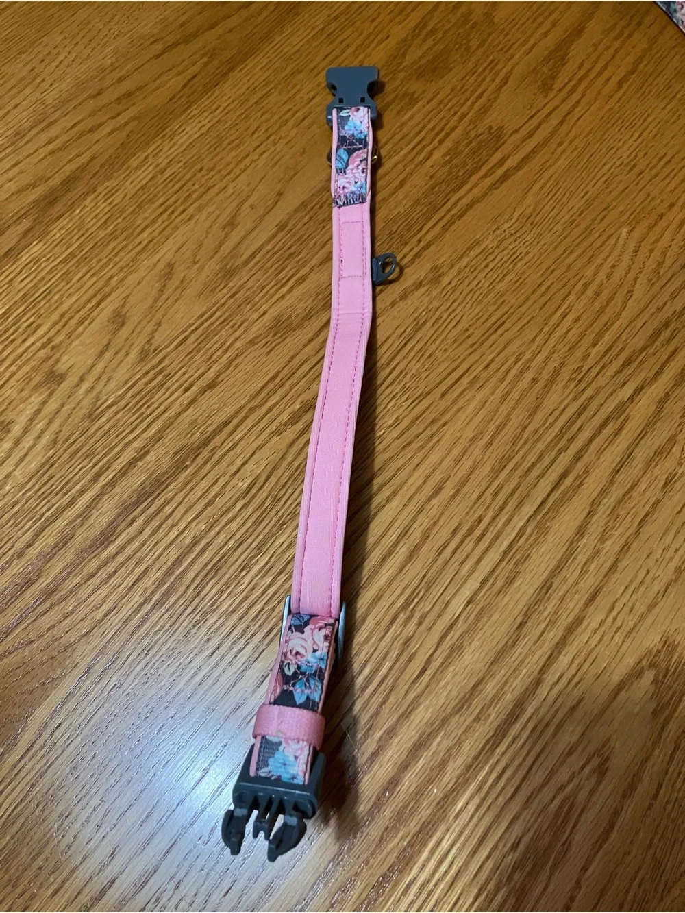 Pet Dog Collar with Matching Leash Blueberry